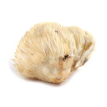 Bio Igelstachelbart ganzer Pilz (Hericium erinaceus) 100 g